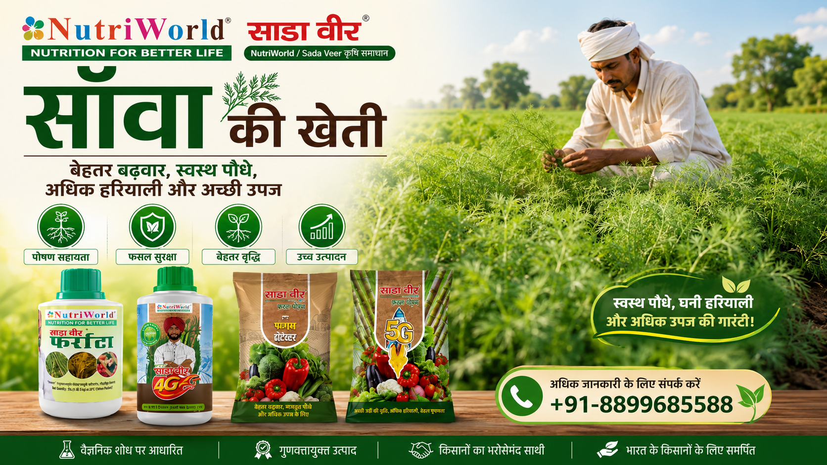 सॉवा की खेती