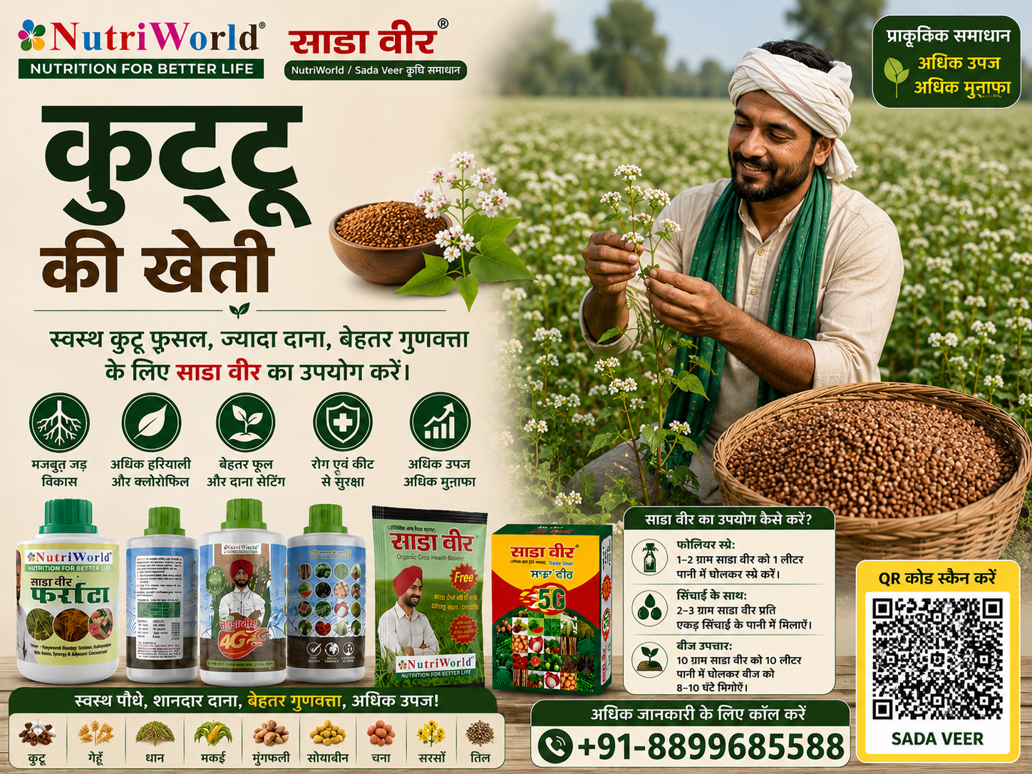 कुट्टू की खेती