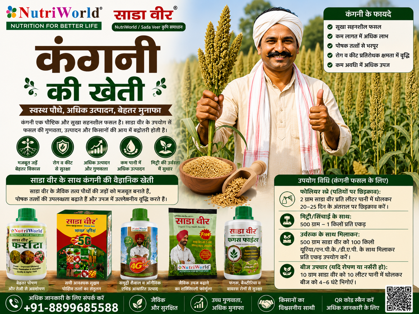 कंगनी की खेती