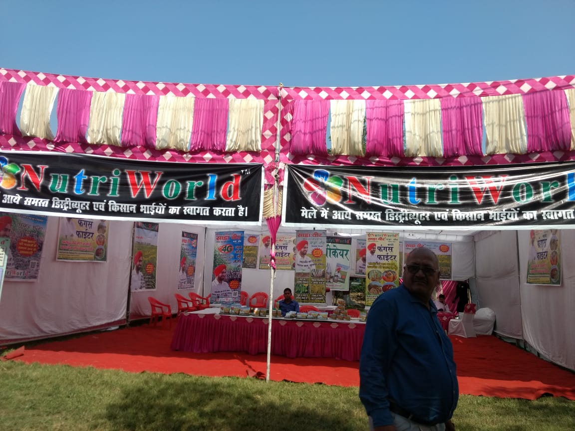 फंगस फाइटर
