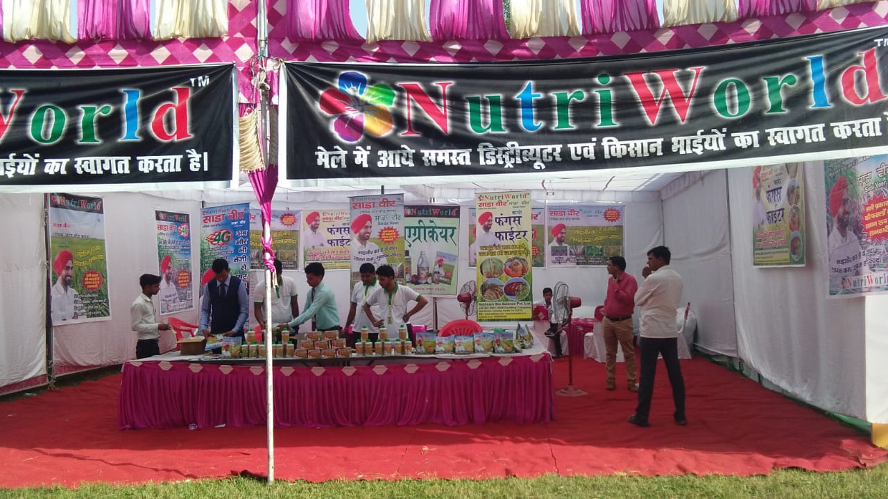 फंगस फाइटर