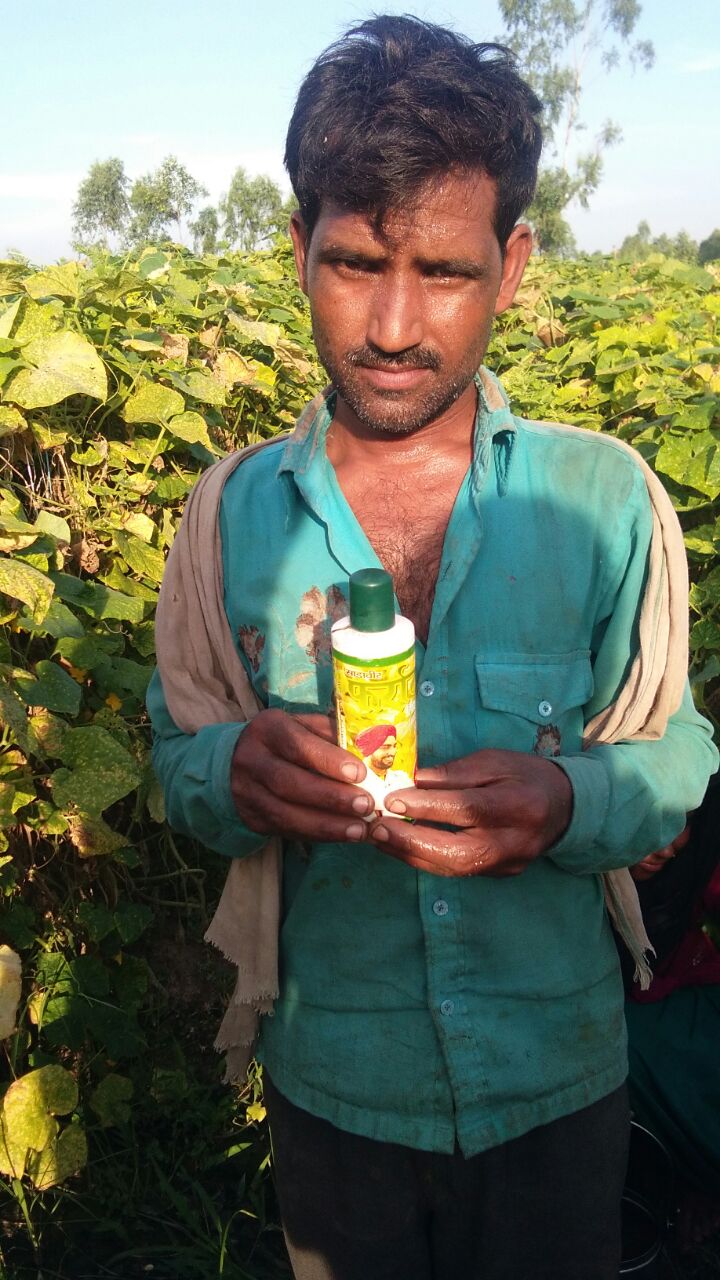 साडावीर 17