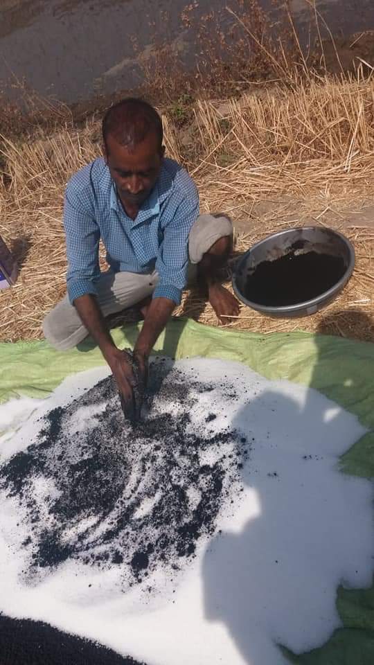 साडावीर 66