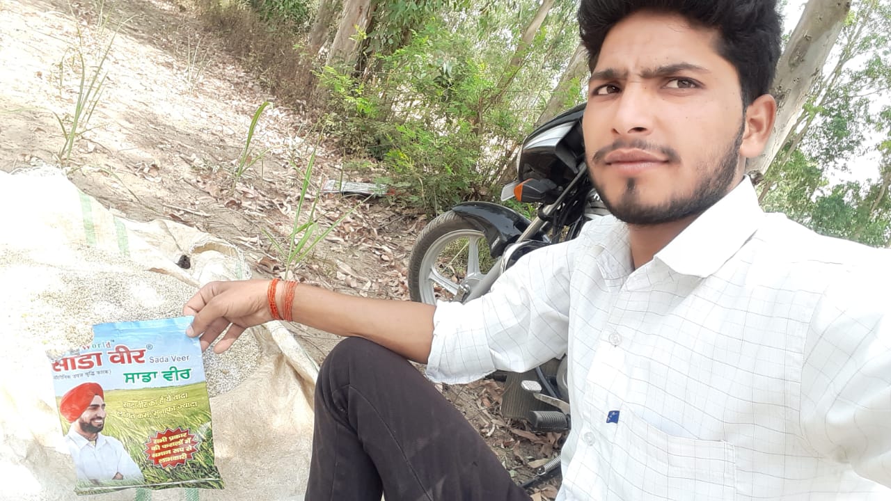 साडावीर 54