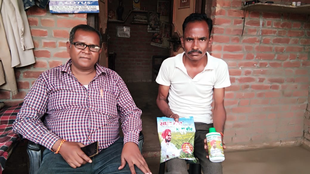 साडावीर 84