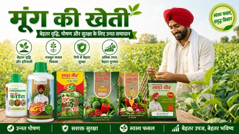 मूंग की खेती
