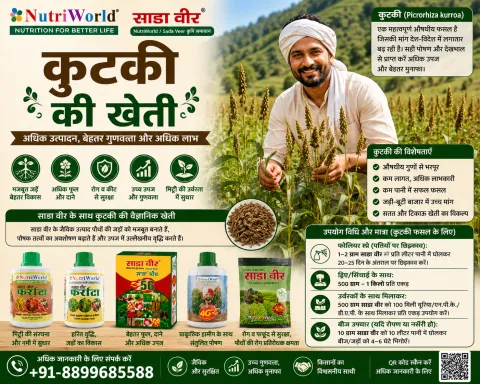 कुटकी की खेती