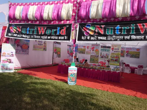 फंगस फाइटर 4