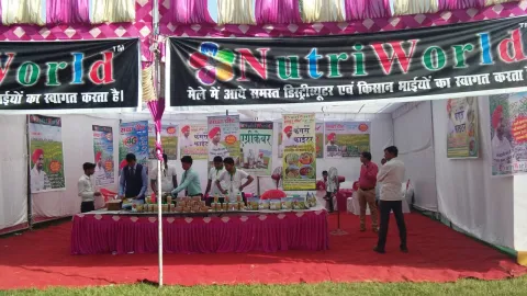 फंगस फाइटर
