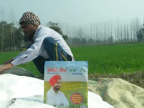 साडावीर 16
