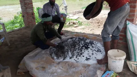 साडावीर 23