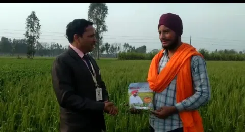 साडावीर 29
