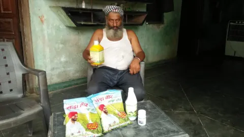 साडावीर 41