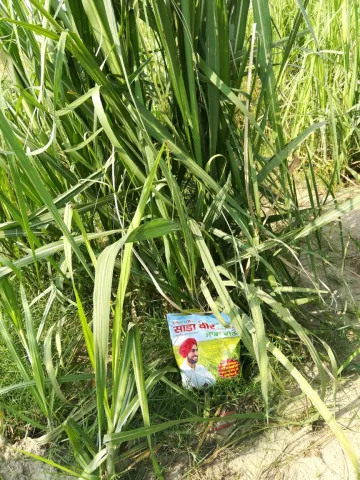 साडावीर 9