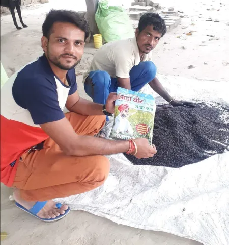 साडावीर 86