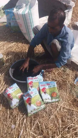 साडावीर 64