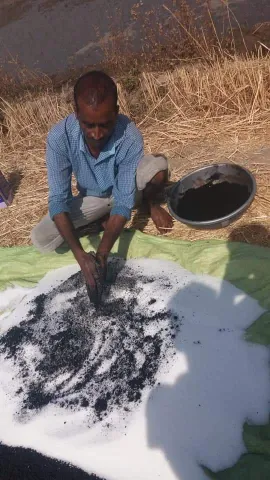 साडावीर 66