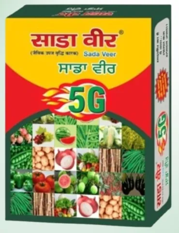 5G Sadaveer