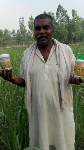 साडावीर 81