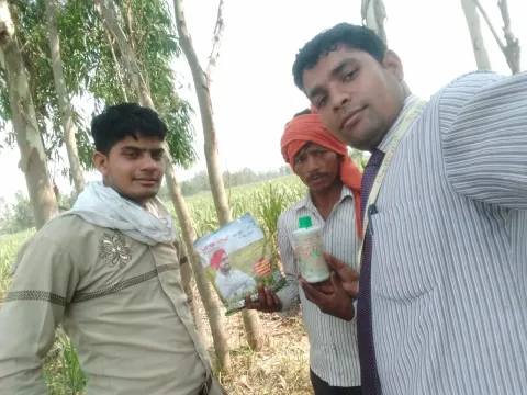 साडावीर 83