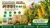 मक्का की खेती