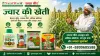 ज्वार की खेती