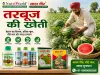 तरबूज की खेती