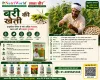 बरी की खेती