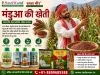 मंडुआ की खेती