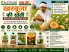 खरबूजा की खेती