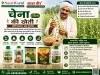 चेना की खेती