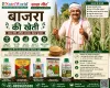 बाजरा की खेती