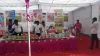 फंगस फाइटर