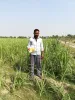 साडावीर 10