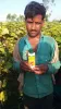 साडावीर 17