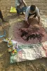 साडावीर 61