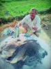 साडावीर 57