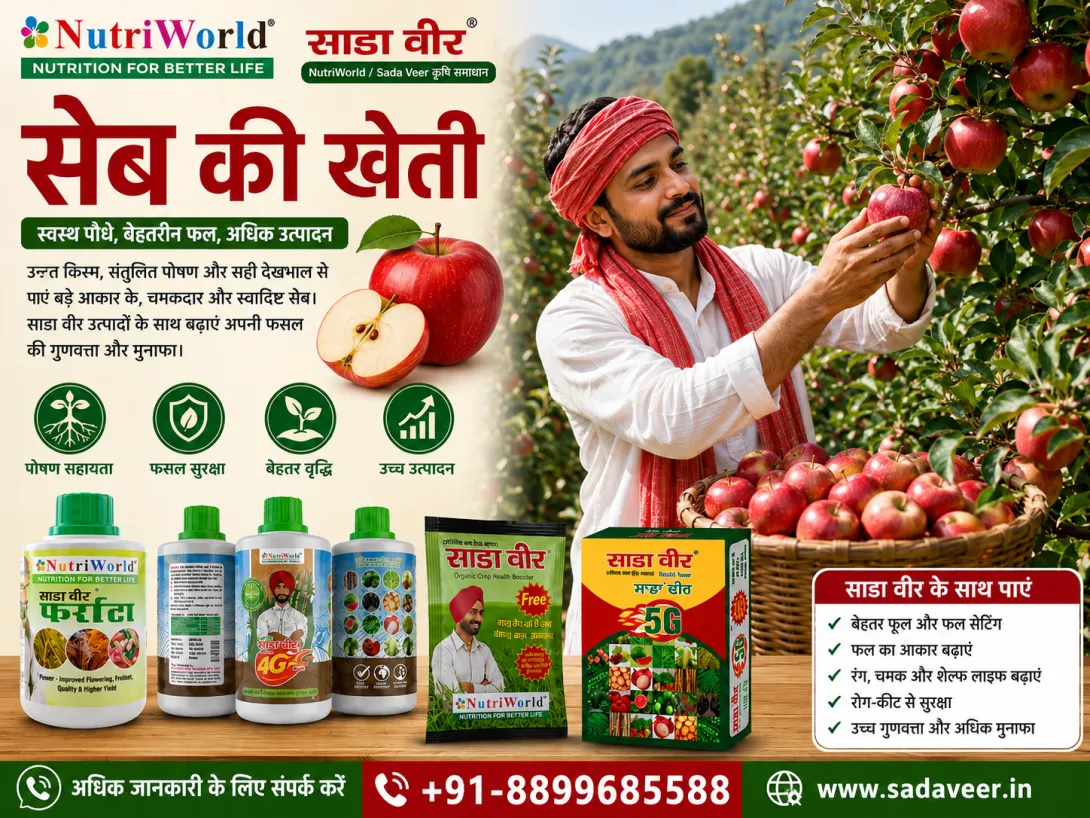 सेब की खेती