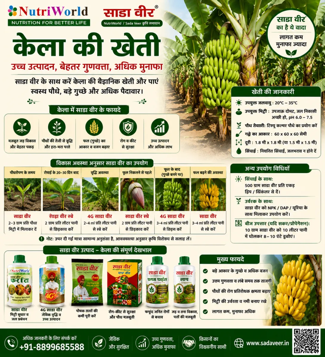 केला की खेती
